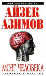 Азимов Айзек - Мозг человека: строение и функции
