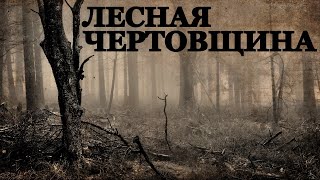 Лесная Чертовщина. Страшные истории на ночь про Лес (3в1)