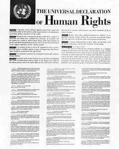 Рай Антон - Права человека