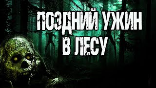 Лобаева Ульяна - Поздний ужин в лесу