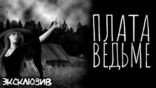 Зимин Сергей - Плата ведьме