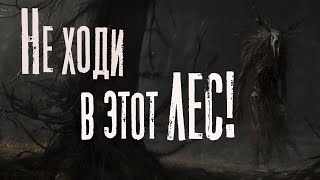 Волков Влад - Не ходи в этот лес!