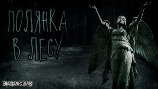 Зимин Сергей - Полянка в лесу