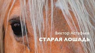 Астафьев Виктор - Старая лошадь