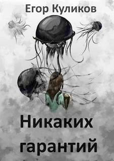 Куликов Егор - Никаких гарантий