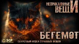 Волкичевский Константин - Бегемот