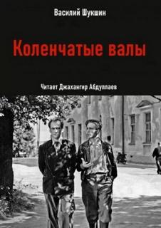 Шукшин Василий - Коленчатые валы