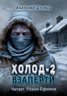 Штольц Анатолий - Холод 02. Взаперти