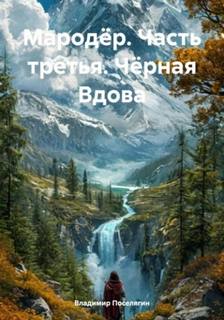 Поселягин Владимир - Мародёр 03. Чёрная Вдова