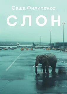 Филипенко Саша - Слон