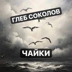 Соколов Глеб - Чайки