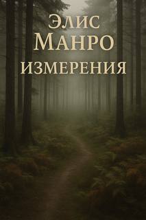 Манро Элис - Измерения