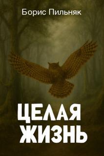 Пильняк Борис - Целая жизнь