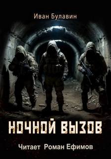 Булавин Иван - Ночной вызов