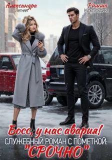 Кульгильдина Римма, Летняя Александра - Босс, у нас авария! Служебный роман с пометкой «Срочно»