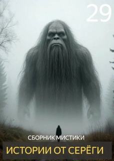 Денисов Сергей - Истории от Серёги 29