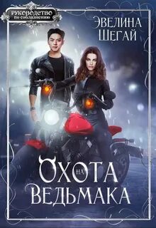 Шегай Эвелина - Отдел врагов (Мальдора) 01. Охота на ведьмака