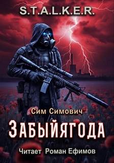 Симович Сим - Забыйягода (S.T.A.L.K.E.R.)