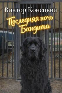 Конецкий Виктор - Последняя ночь Бандита