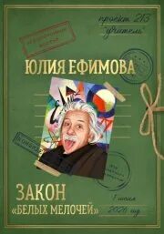 Ефимова Юлия - Проект 213: учитель 02. Закон «белых мелочей»