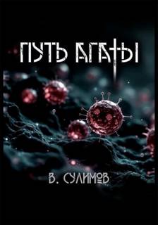 Сулимов Владимир - Путь Агаты