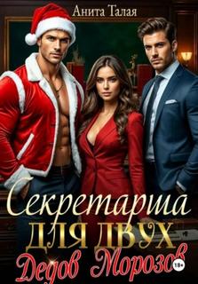 Талая Анита - Секретарша для двух Дедов Морозов