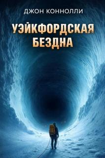 Коннолли Джон - Уэйкфордская бездна