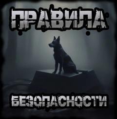Чулкин Иван - Кладбище гномов 04. Правила безопасности