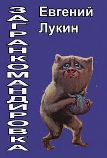 Лукин Евгений - Загранкомандировка