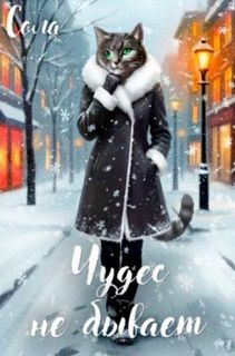 Сола - Котофэнтези. Когда молчит магия 19. Чудес не бывает