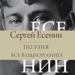 Есенин Сергей - Поэзия. Все в одной книге