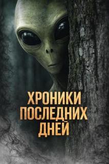 Михалина Катя - Хроники последних дней