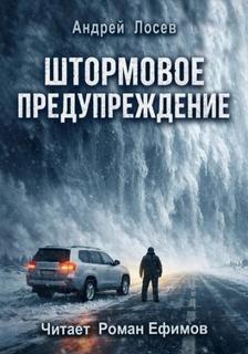 Лосев Андрей - Штормовое предупреждение