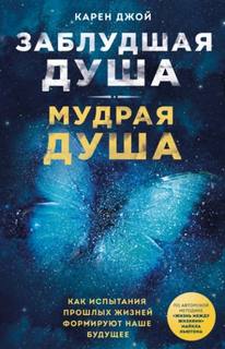 Джой Карен - Заблудшая душа – мудрая душа. Как испытания прошлых жизней формируют наше будущее