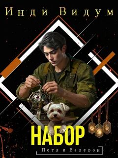 Видум Инди - Петя и Валерон 06. Набор