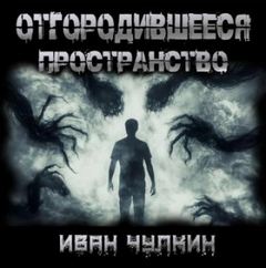 Чулкин Иван - Отгородившееся пространство