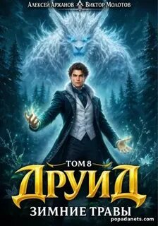 Молотов Виктор, Аржанов Алексей - Дубровский 08. Друид. Том 8. Зимние травы