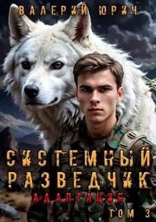 Юрич Валерий - Системный разведчик 03. Инфильтрация 3